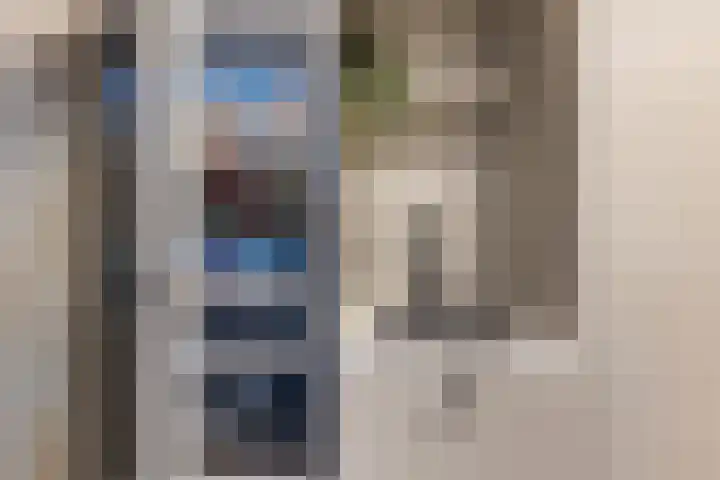 Watersnip 1 Hendrik-Ido-Ambacht thumbnail 30