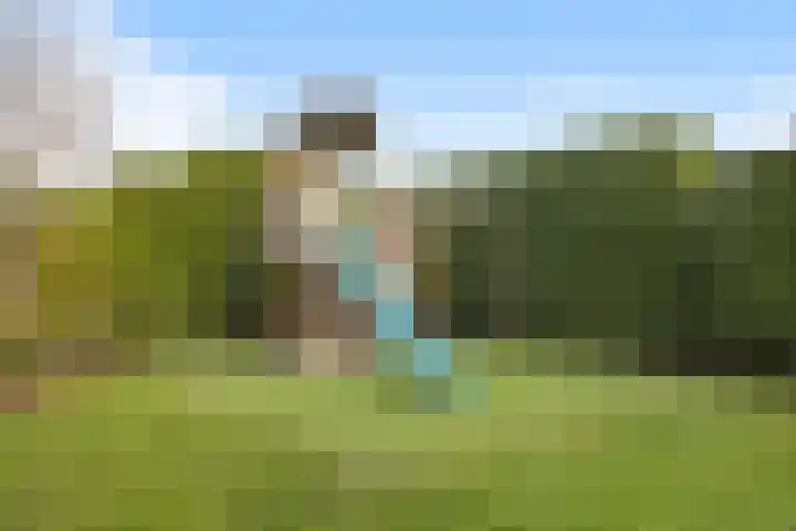 Watersnip 1 Hendrik-Ido-Ambacht thumbnail 36