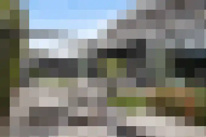 Watersnip 1 Hendrik-Ido-Ambacht thumbnail 44