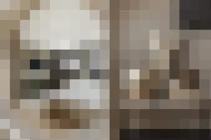 Watersnip 1 Hendrik-Ido-Ambacht thumbnail 49