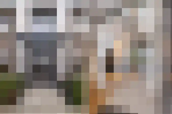 Watersnip 1 Hendrik-Ido-Ambacht thumbnail 5