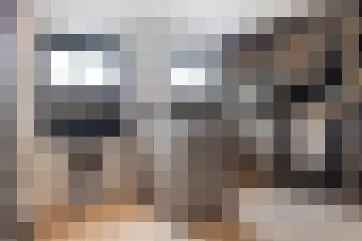 Watersnip 1 Hendrik-Ido-Ambacht thumbnail 50