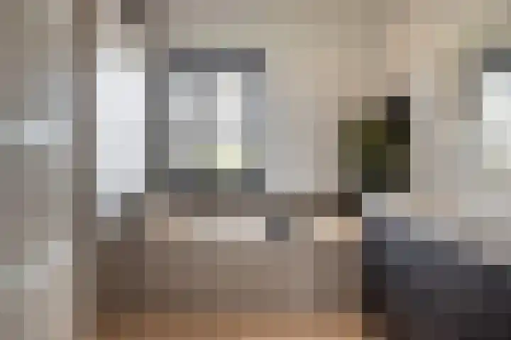 Watersnip 1 Hendrik-Ido-Ambacht thumbnail 57