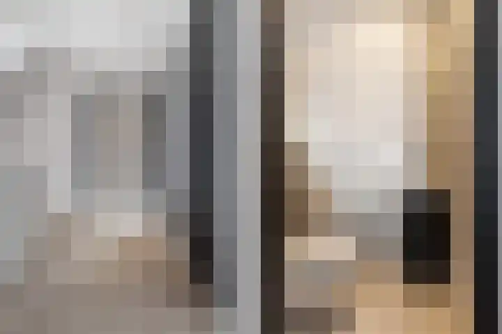 Watersnip 1 Hendrik-Ido-Ambacht thumbnail 59