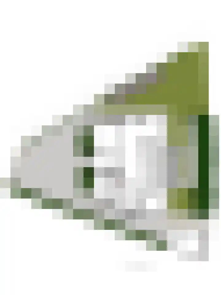 Watersnip 1 Hendrik-Ido-Ambacht thumbnail 68