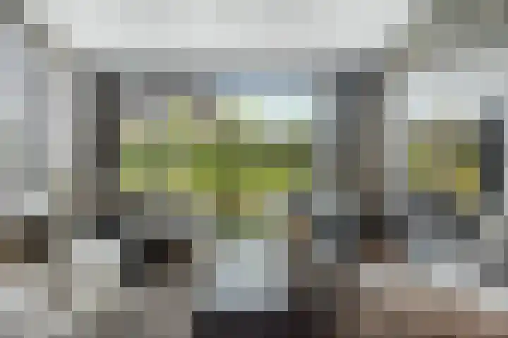 Watersnip 1 Hendrik-Ido-Ambacht thumbnail 8
