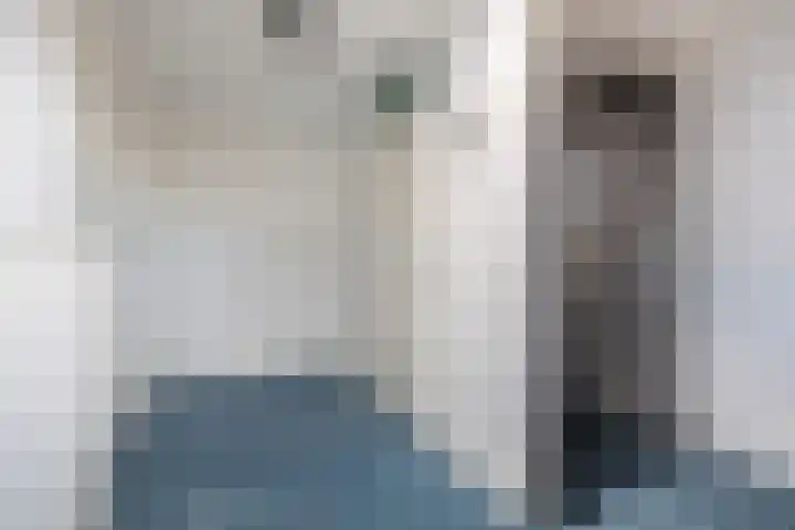 Watersnip 1 Ilpendam thumbnail 28