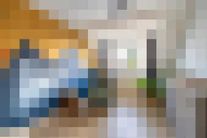 Watersnip 1 Ilpendam thumbnail 36
