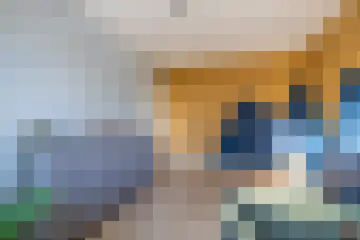 Watersnip 1 Ilpendam thumbnail 37