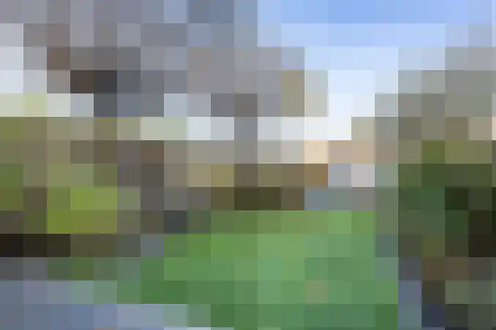 Watersnip 1 Ilpendam thumbnail 4