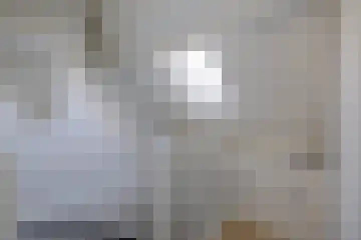 Watersnip 1 Ilpendam thumbnail 42