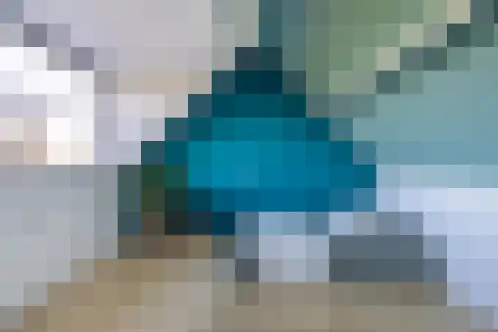 Watersnip 1 Ilpendam thumbnail 43