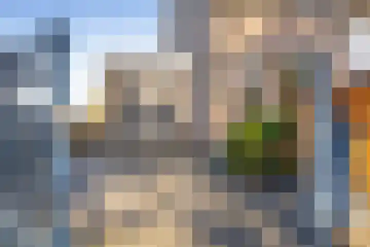 Watersnip 1 Ilpendam thumbnail 7