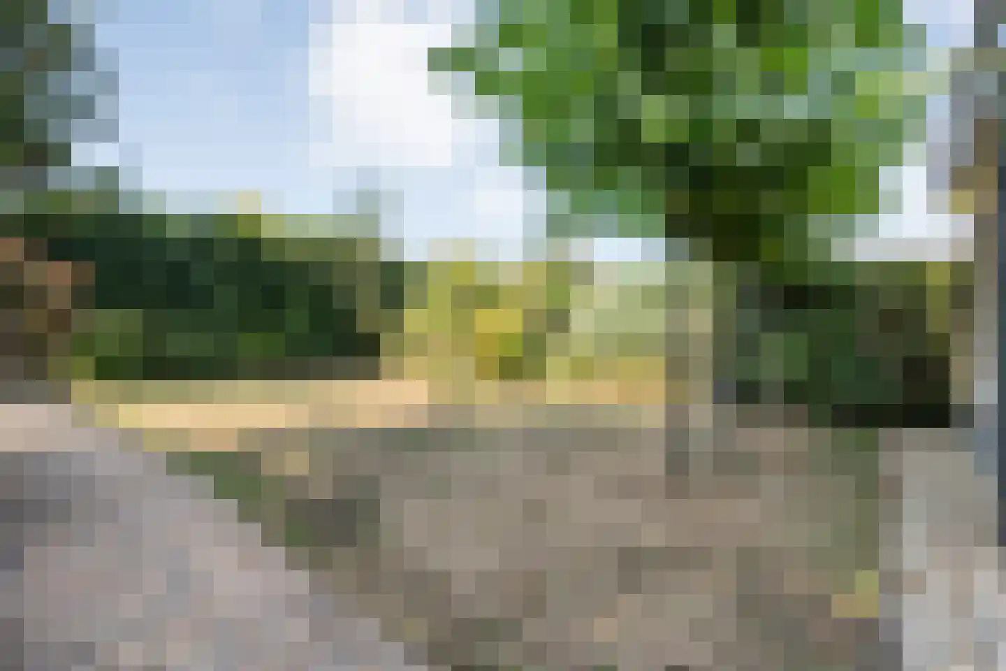 Watersnip 1 Ommen thumbnail 53