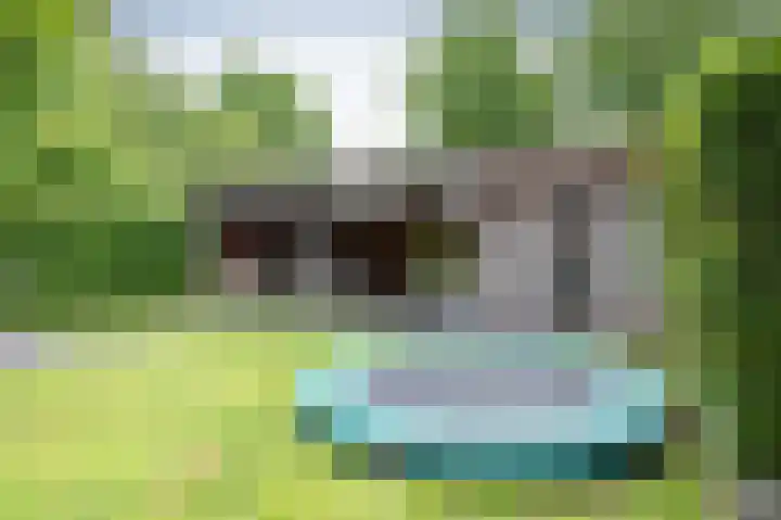 Watersnip 10 Emmen thumbnail 23