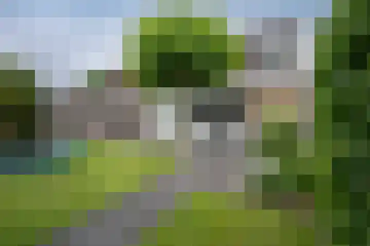 Watersnip 10 Emmen thumbnail 25