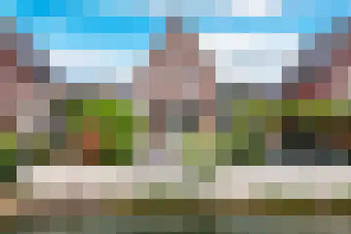 Watersnip 11 Maurik thumbnail 32