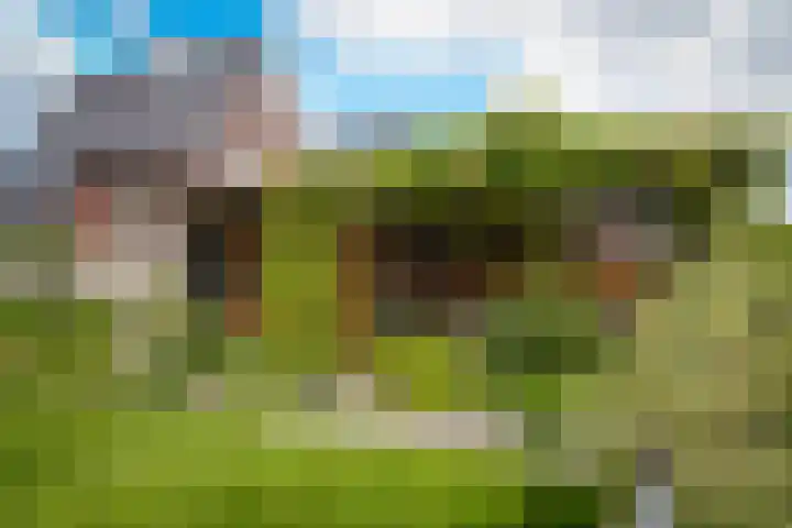 Watersnip 11 Maurik thumbnail 34