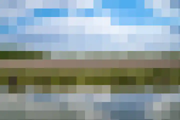 Watersnip 11 Maurik thumbnail 37