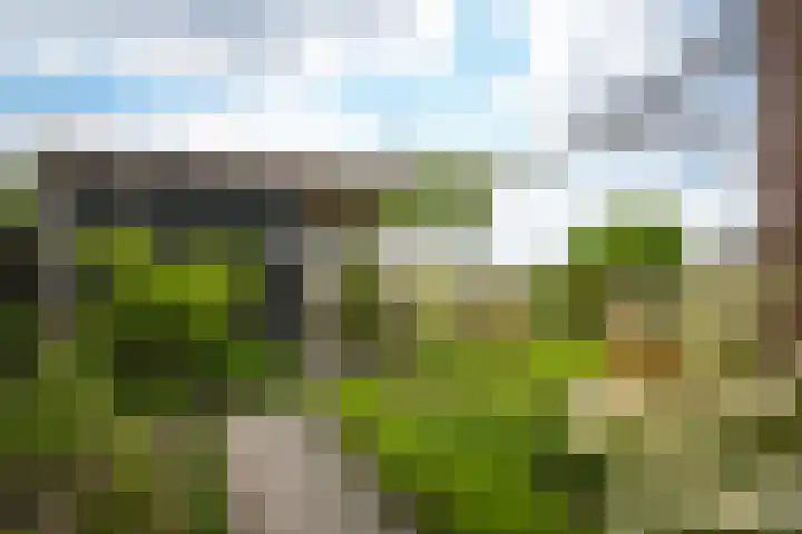 Watersnip 11 Maurik thumbnail 41