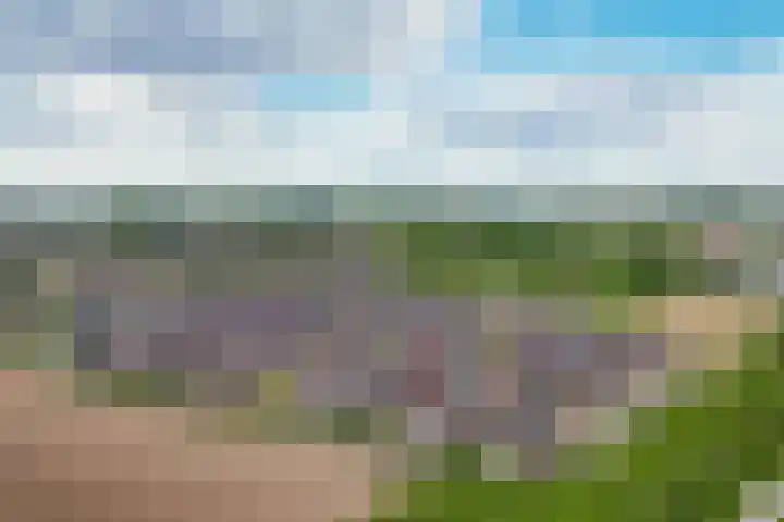 Watersnip 11 Maurik thumbnail 45