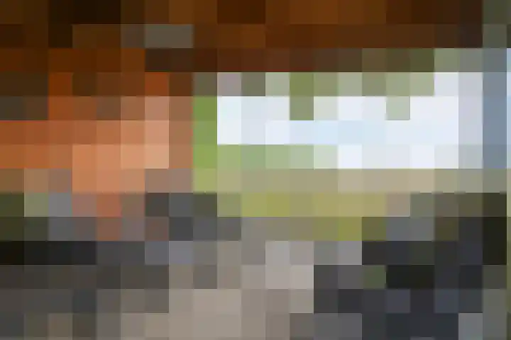 Watersnip 11 Maurik thumbnail 6