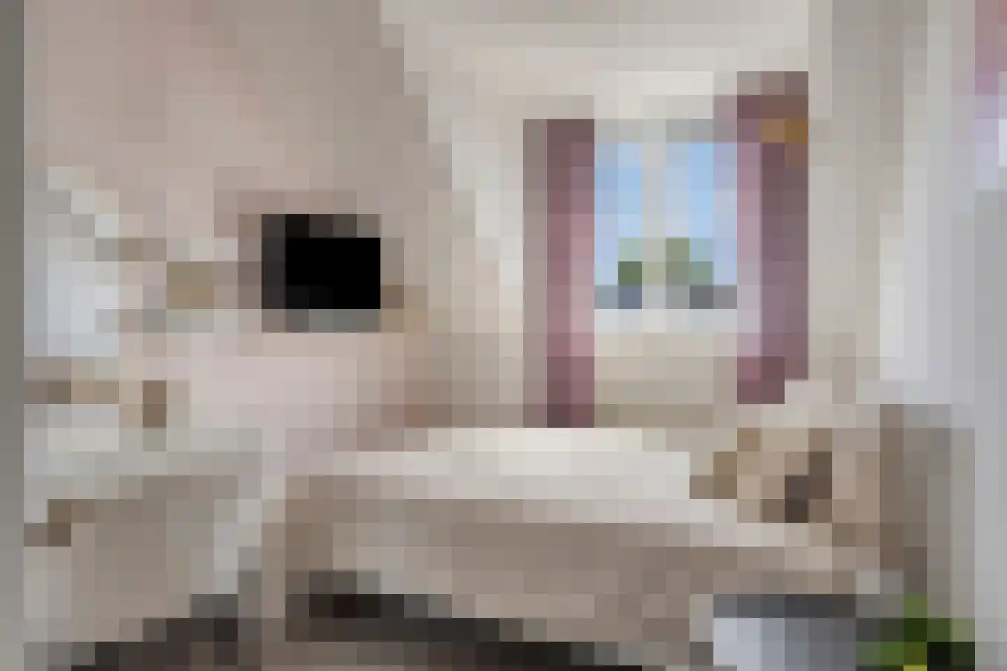 Watersnip 11 Nieuw-Lekkerland thumbnail 21