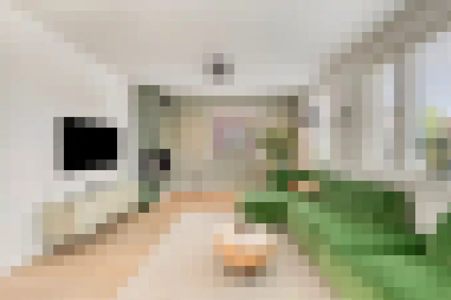 Watersnip 11 Nieuwe Niedorp thumbnail 17