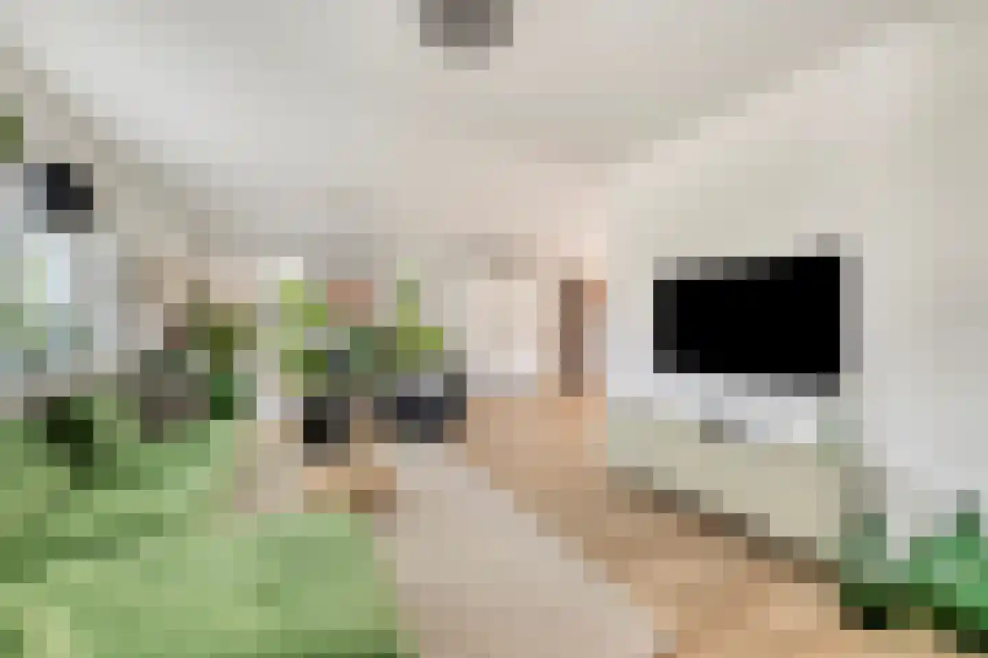 Watersnip 11 Nieuwe Niedorp thumbnail 18