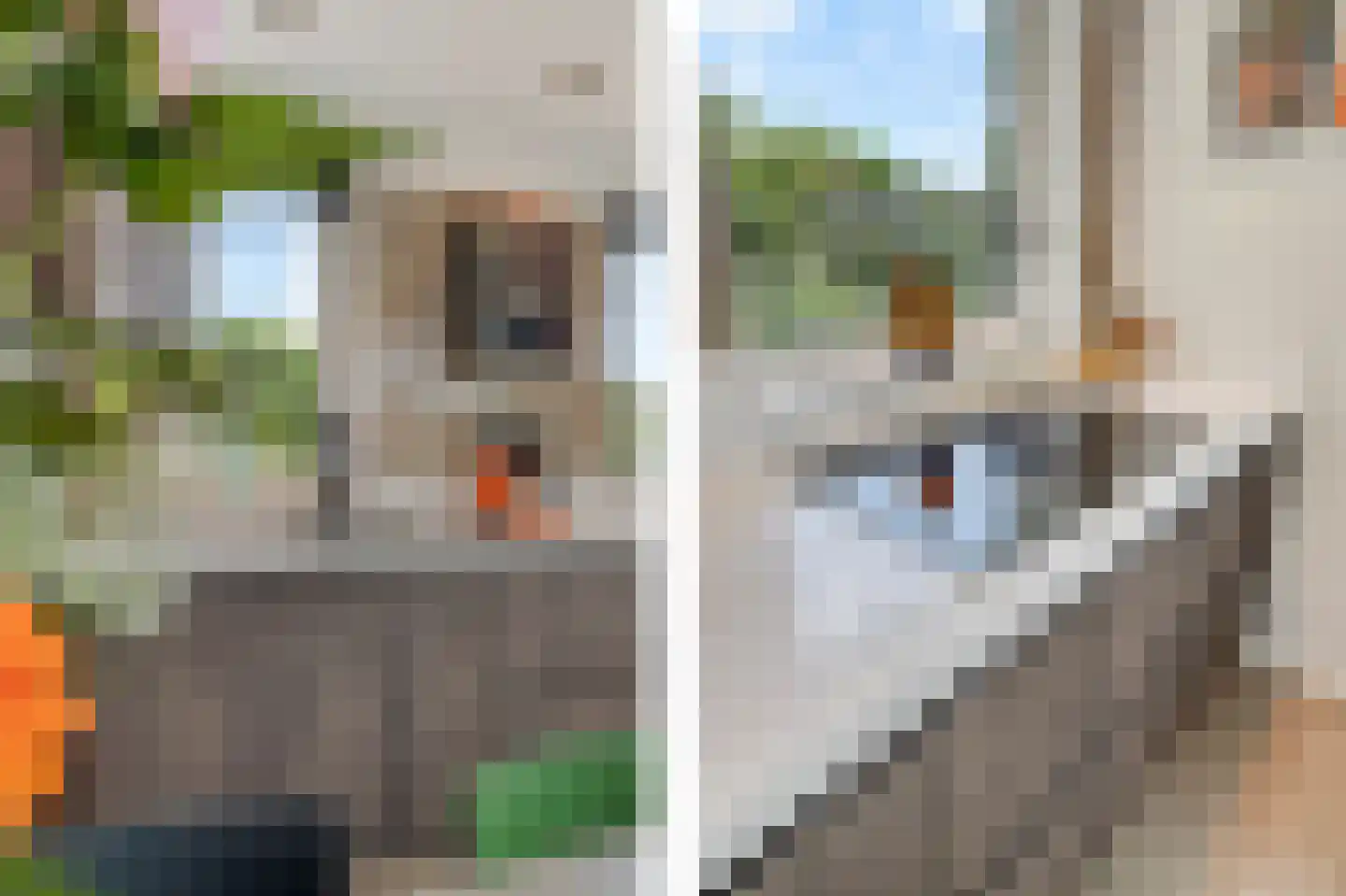 Watersnip 11 Nieuwe Niedorp thumbnail 28
