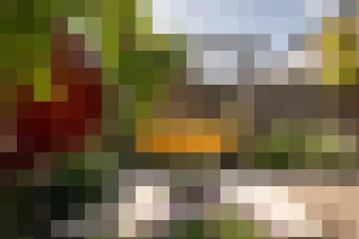 Watersnip 12 Hoogkarspel thumbnail 34