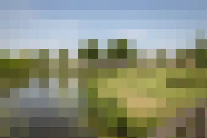 Watersnip 12 Hoogkarspel thumbnail 47