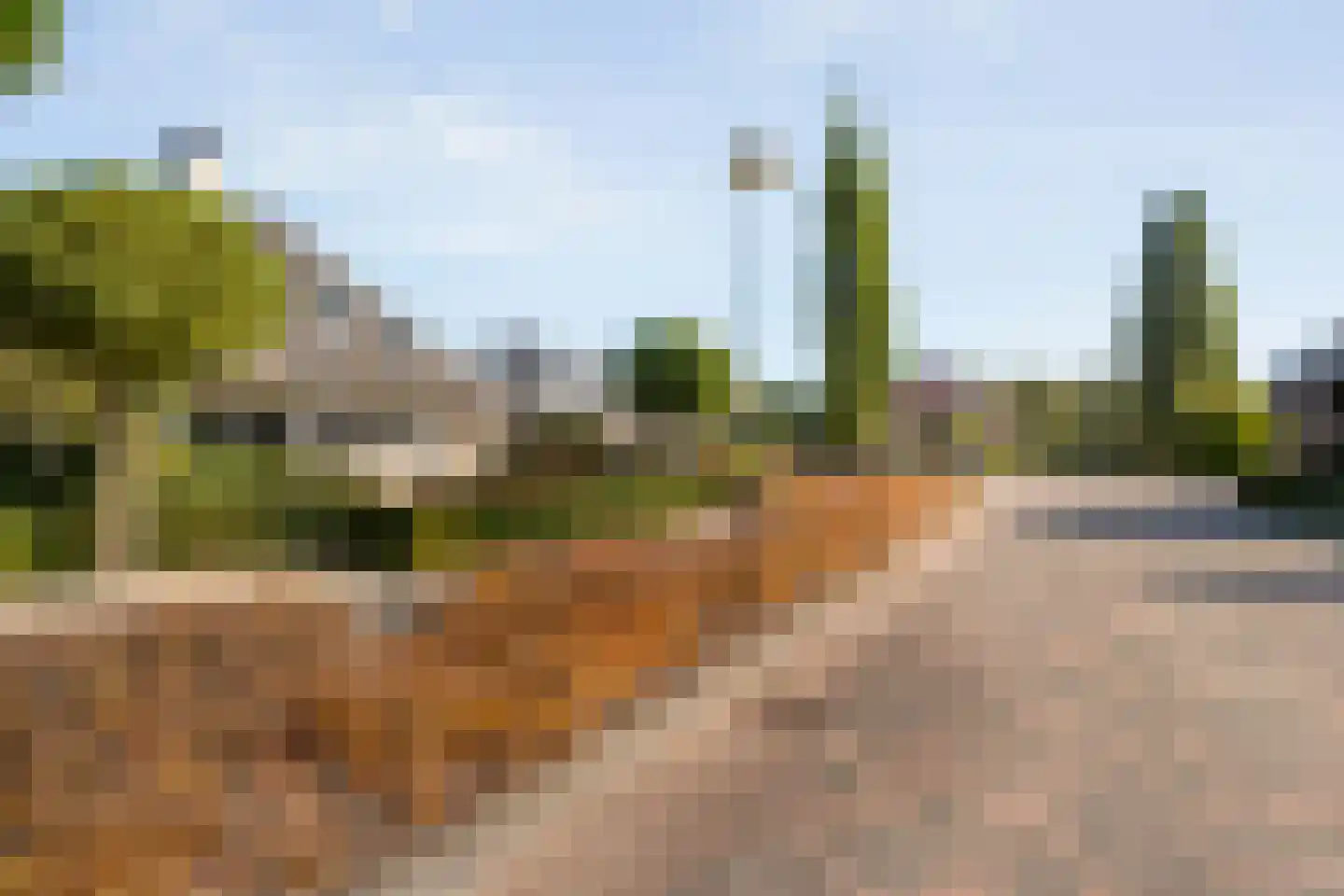Watersnip 13 Coevorden thumbnail 11
