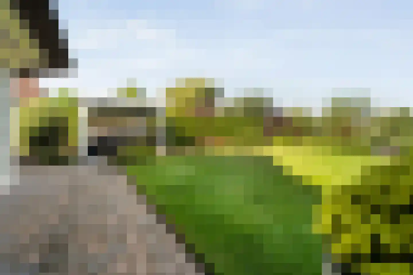 Watersnip 13 Coevorden thumbnail 53