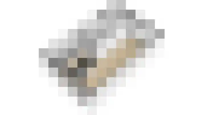 Watersnip 13 Coevorden thumbnail 9