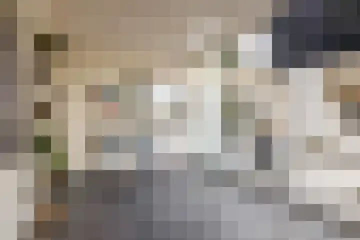 Watersnip 15 Waspik thumbnail 24