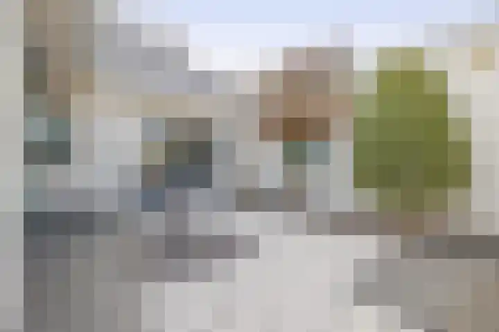 Watersnip 15 Waspik thumbnail 27