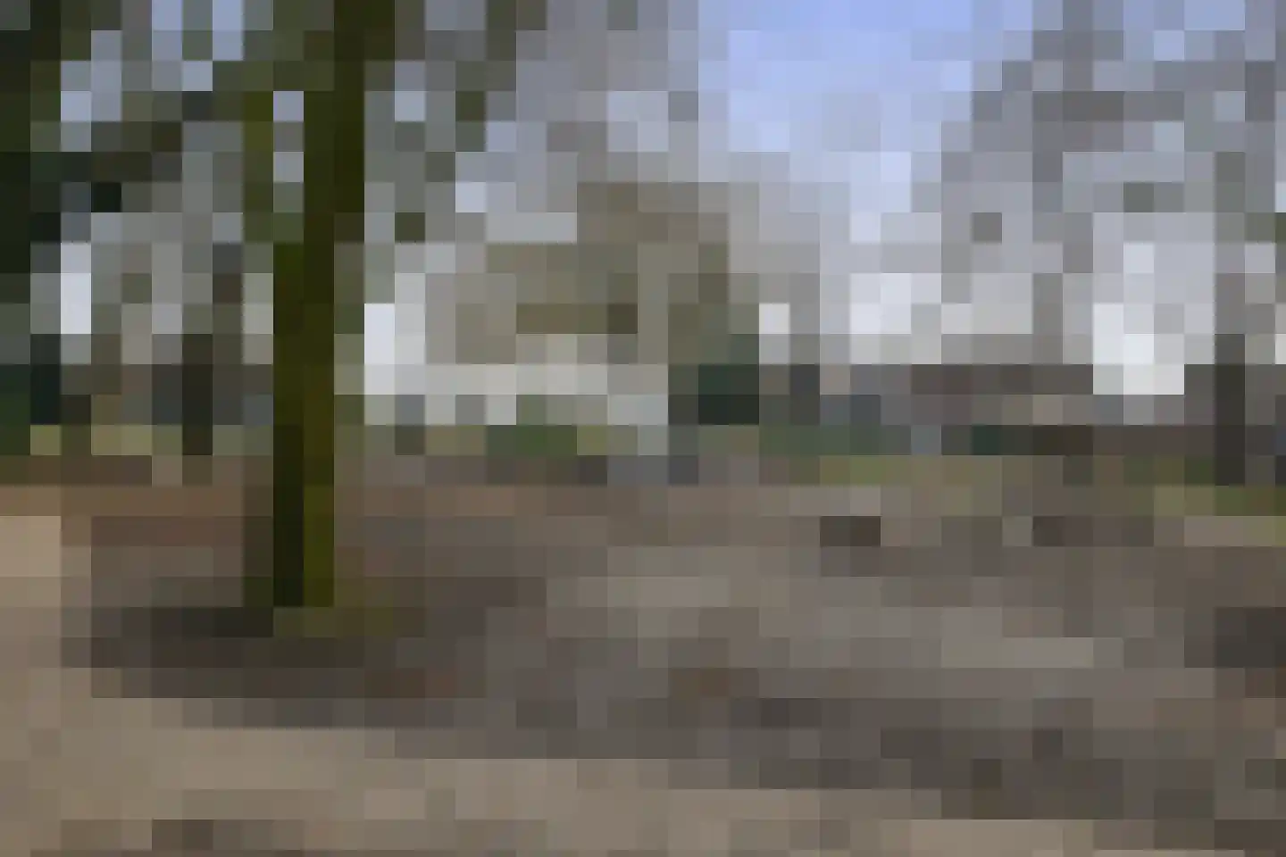 Watersnip 15 Waspik thumbnail 44