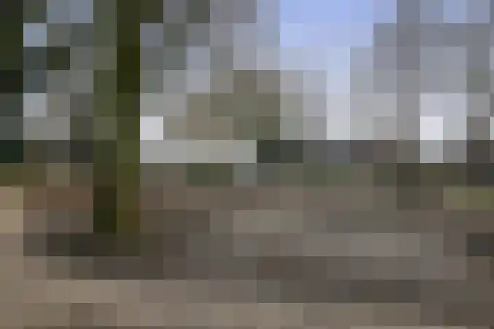Watersnip 15 Waspik thumbnail 45