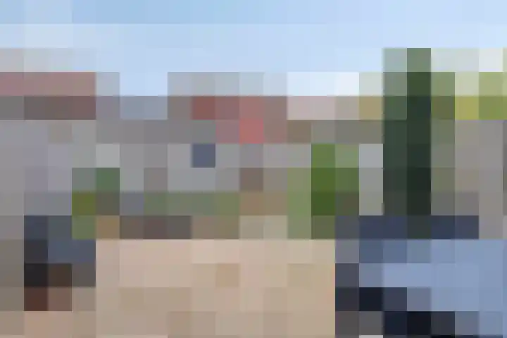 Watersnip 18 Bergen op Zoom thumbnail 25