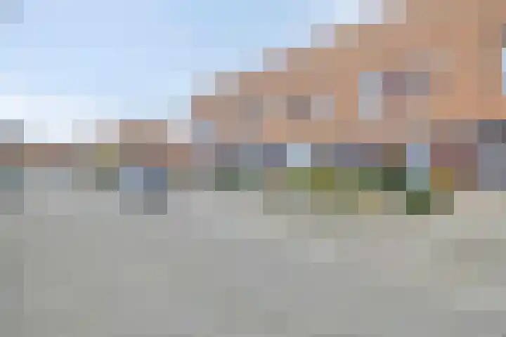 Watersnip 18 Bergen op Zoom thumbnail 32