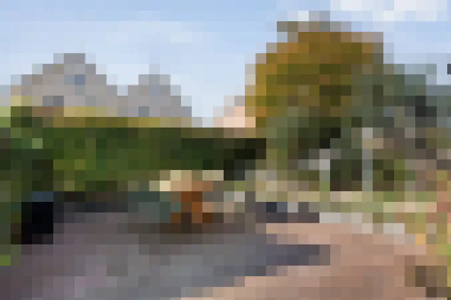 Watersnip 2 Ommen thumbnail 5