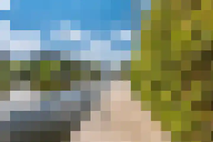 Watersnip 22 Blauwestad thumbnail 50