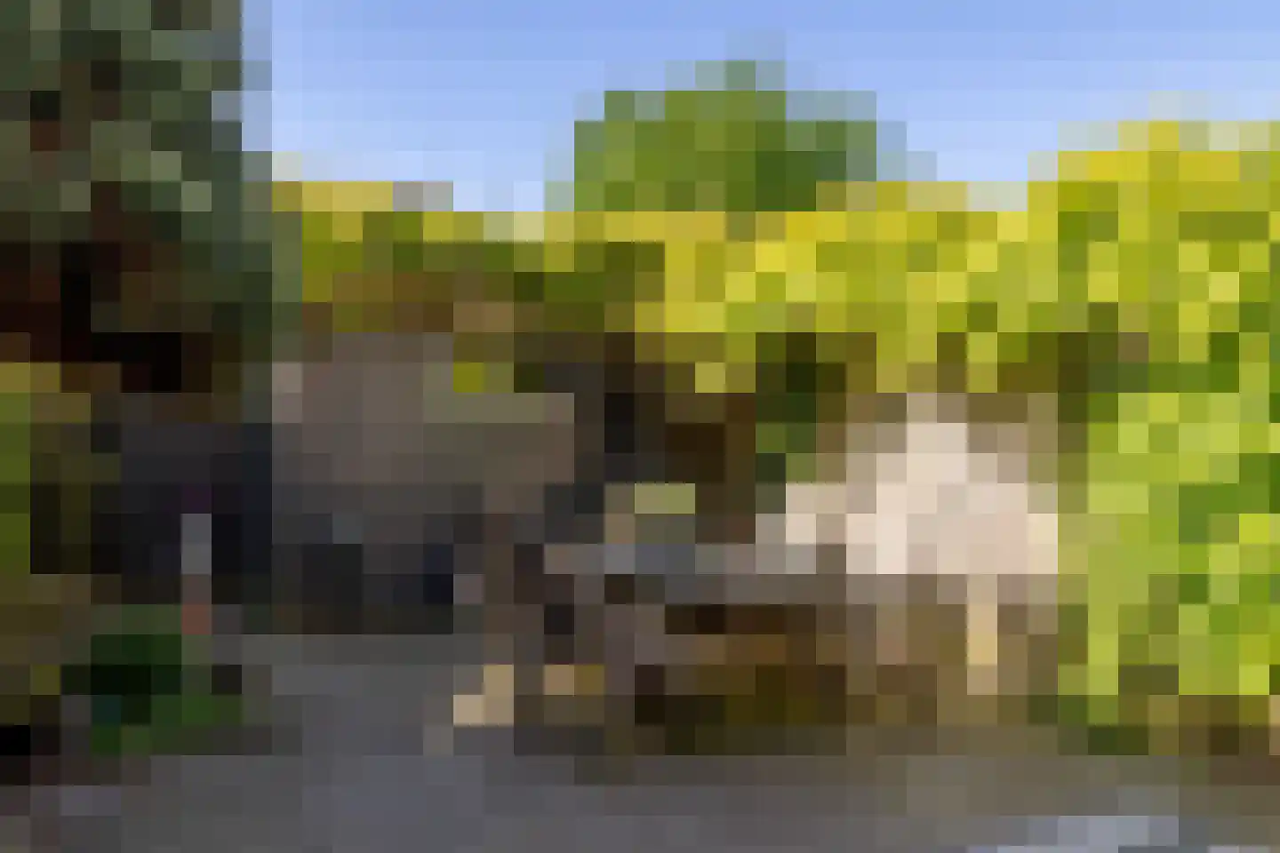 Watersnip 22 Ilpendam thumbnail 39