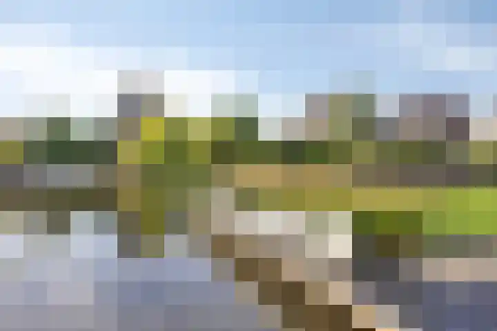 Watersnip 24 Blauwestad thumbnail 62