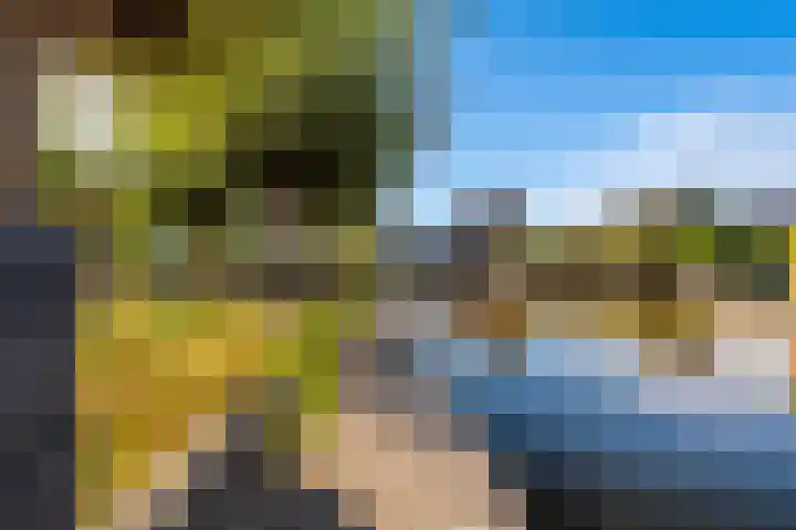 Watersnip 26 Blauwestad thumbnail 29