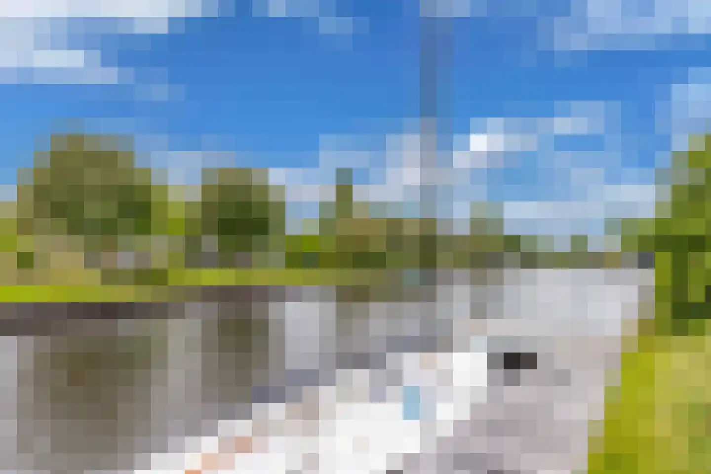 Watersnip 3 Lemmer thumbnail 5