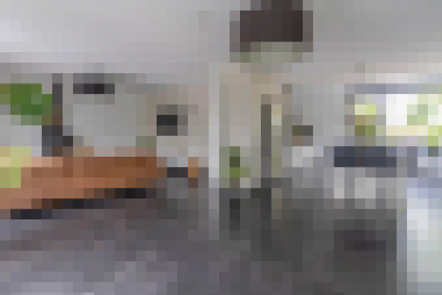 Watersnip 3 Venray thumbnail 30