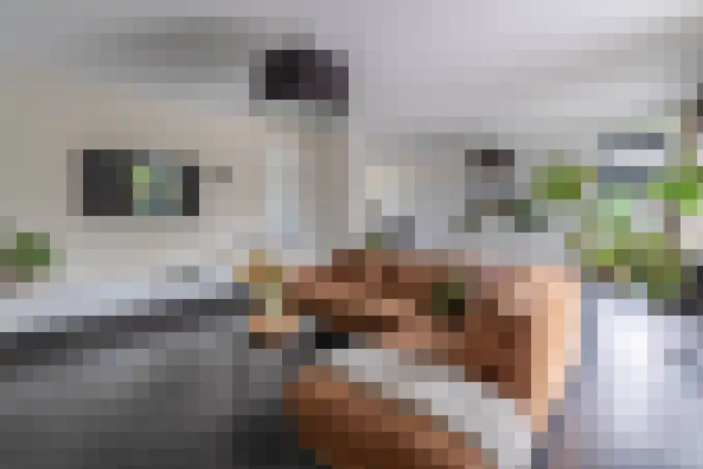 Watersnip 3 Venray thumbnail 32