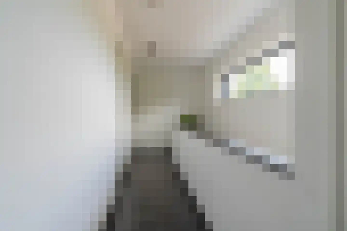 Watersnip 3 Venray thumbnail 44